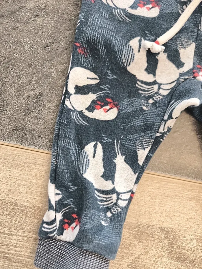 Pantalon legging garçon 12 mois Catimini - photo numéro 6