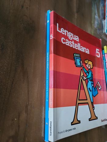 Lot de 2 livres : Lengua española