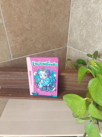 Livre enchantimals