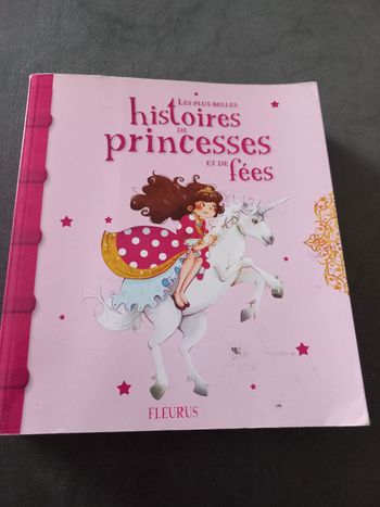 Gros Livre fleurus les plus belles histoires de princesses et de fees 80 histoires du soir