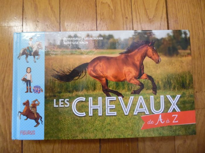 les chevaux de A à Z