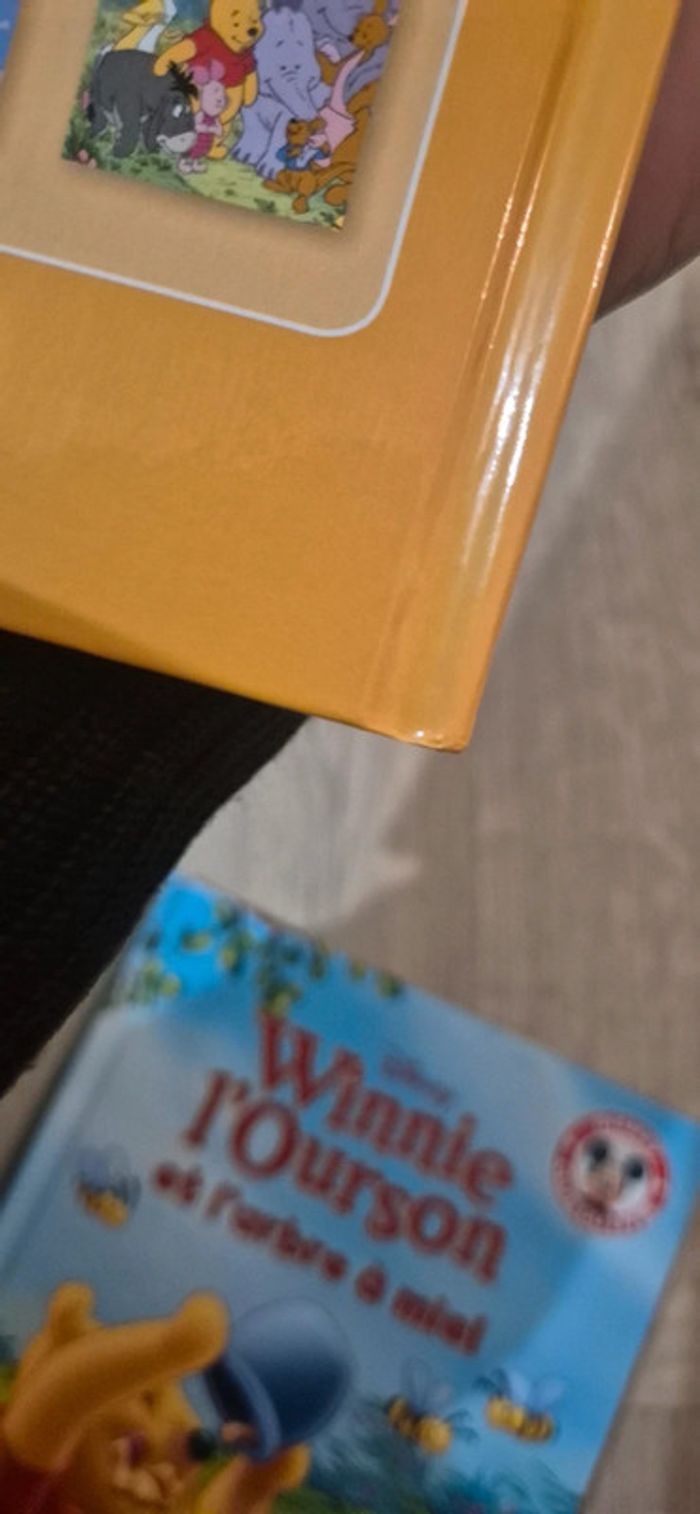 Lot de 3 livres - Winnie l'ourson - photo numéro 13
