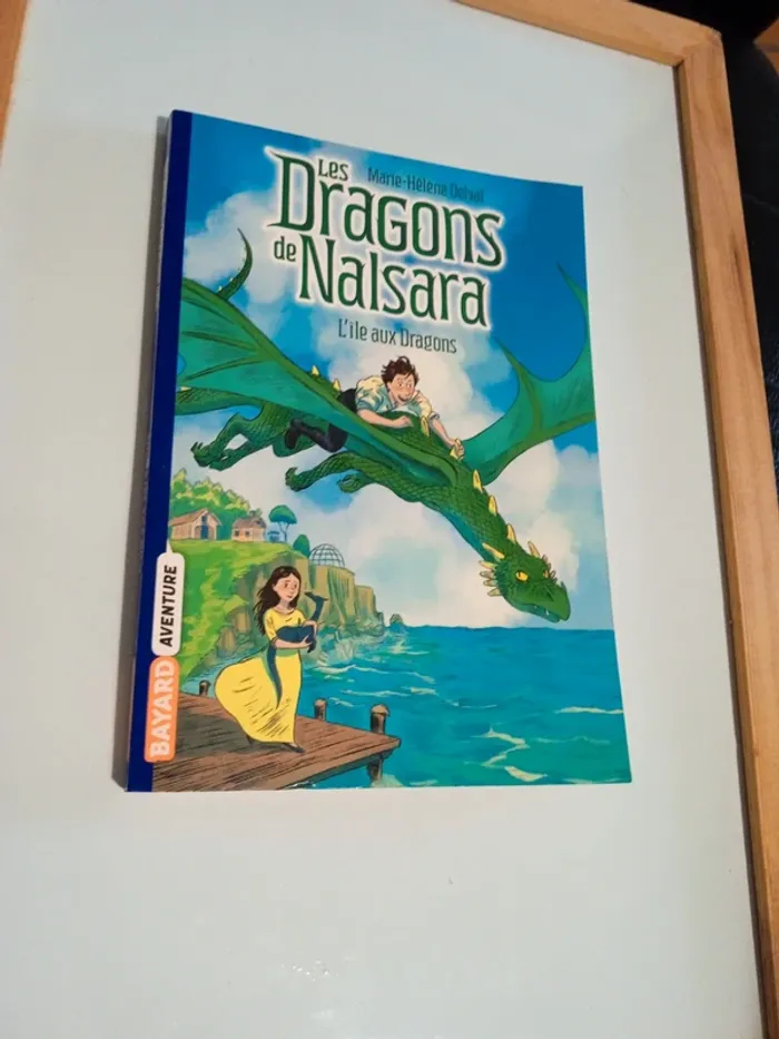 Les dragons de Nalsara l ile aux dragons tome 1