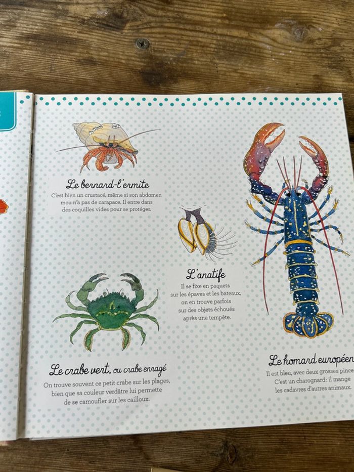 Au bord de la mer - photo numéro 2