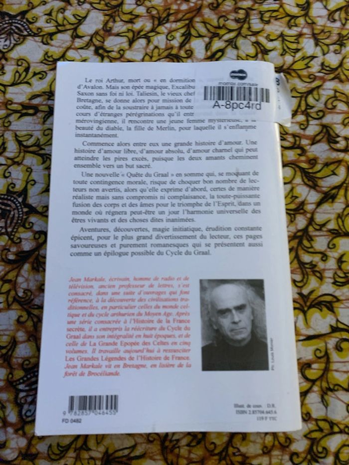 La fille de merlin - photo numéro 2