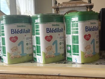Bledina lait en poudre 