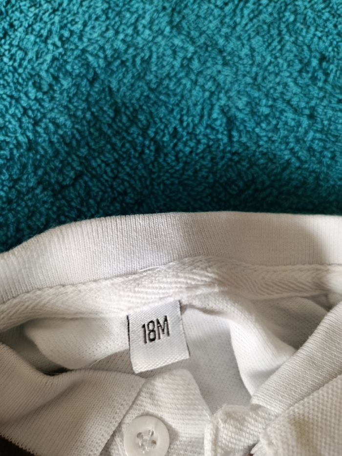 Polo - photo numéro 3