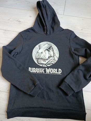 Sweat a capuche kirassic world 