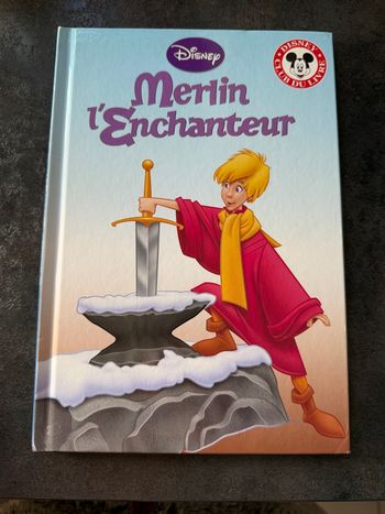Livre « Merlin l’enchanteur »