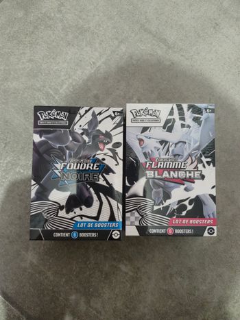 Pokemon bundle noir et blanc 