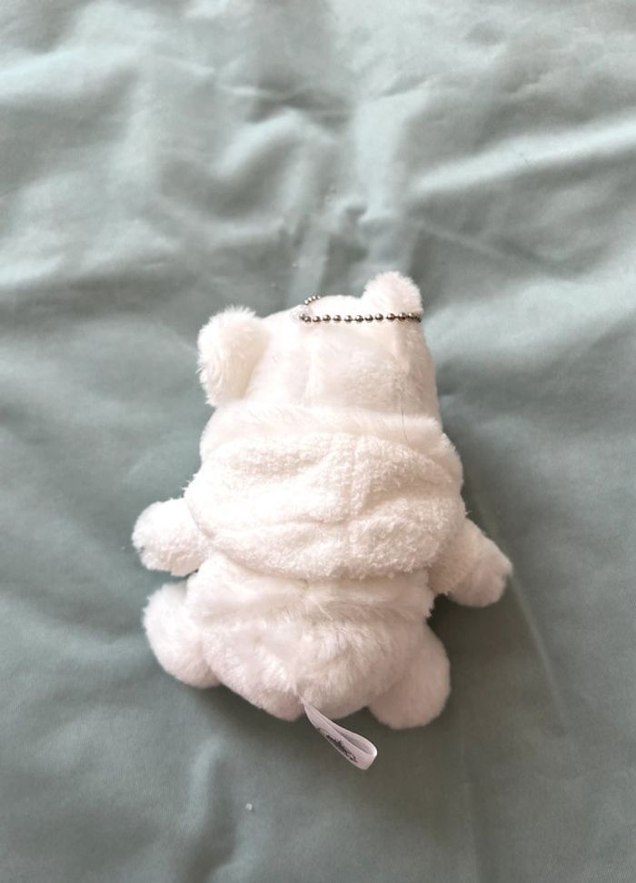 (97) articles disponibles Petite peluche porte clés Disney Winnie the Pooh de Taiwan - photo numéro 4