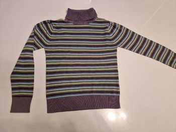 Pull à rayure col roulé