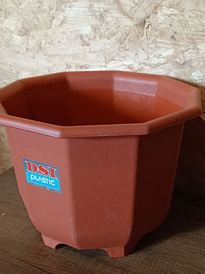 Pot à orchidées - photo numéro 2