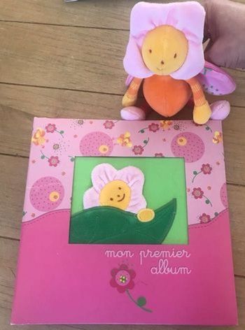 Mon premier album moulin Roty