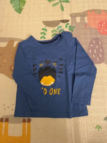 Tee shirt lupilu