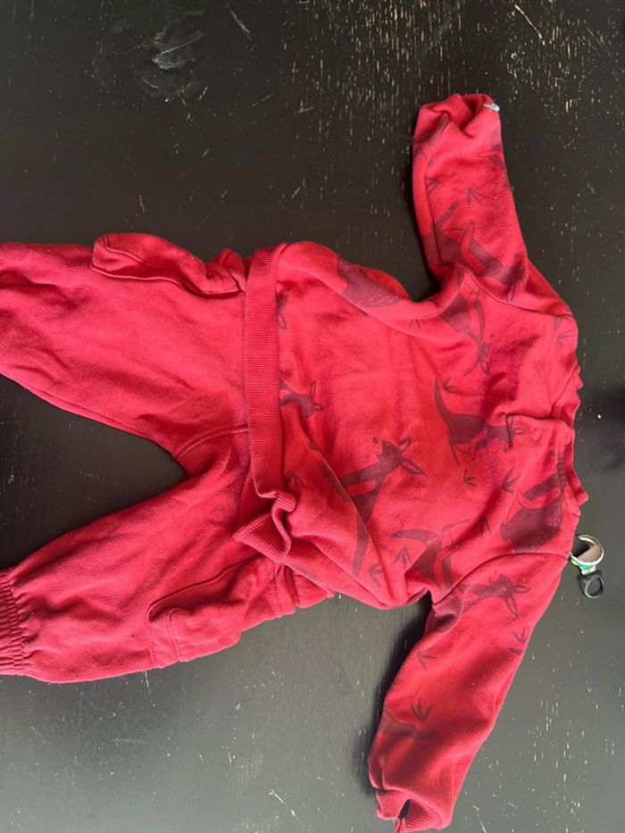 Ensemble - photo numéro 4