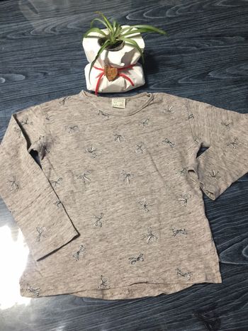 T shirt Zara 6 Ans