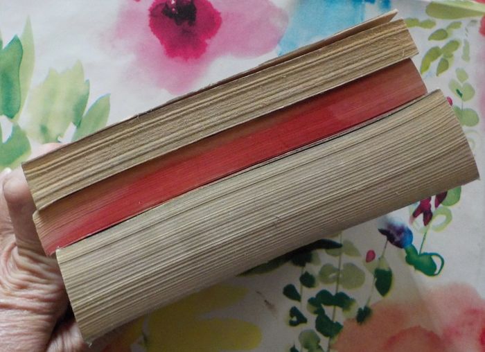 3 Bernard Clavel L'Espagnol Le seigneur du fleuve Malataverne - photo numéro 4