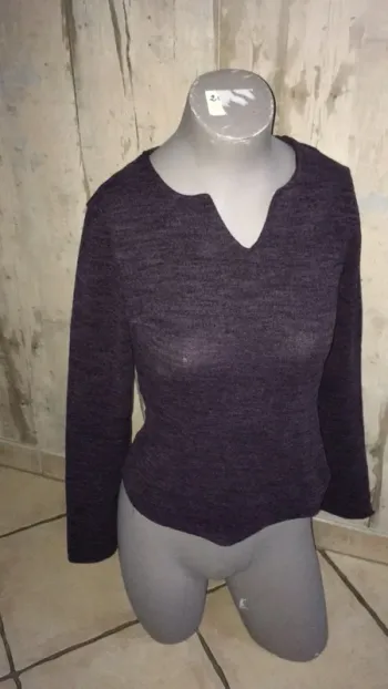 Joli haut prune