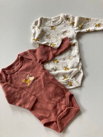 Bodies neufs Simba et Nala