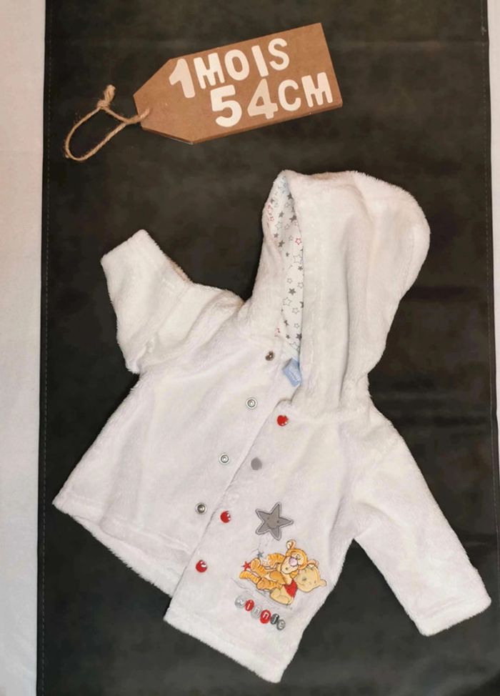 Tenue complète 👣 tee-shirt, jupe et veste douce Winnie Disney et Kitchoun 1mois /54cm - photo numéro 5