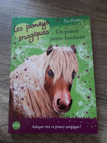 Les Poneys magiques