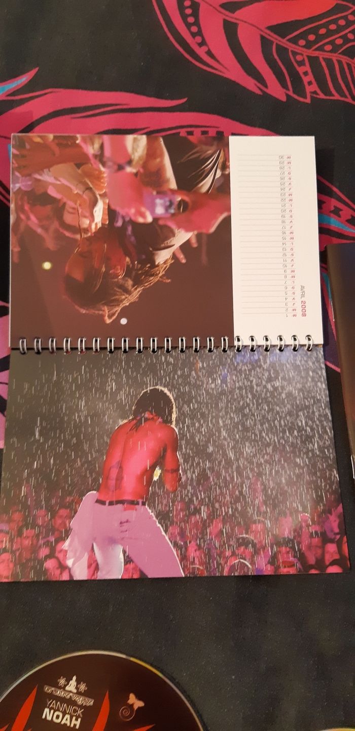 Yannick Noah : coffret DVD Un autre voyage 2007 - photo numéro 7