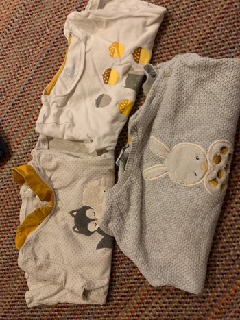 Lot 2 tee shirt ML + 1 pull