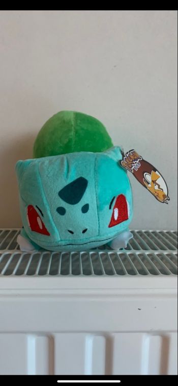 Pokemon peluche