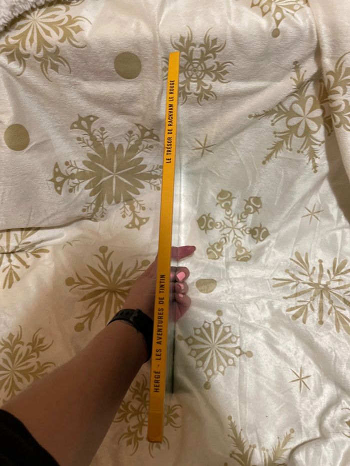 BD les aventures de Tintin Le trésor de Rackham le Rouge - photo numéro 4