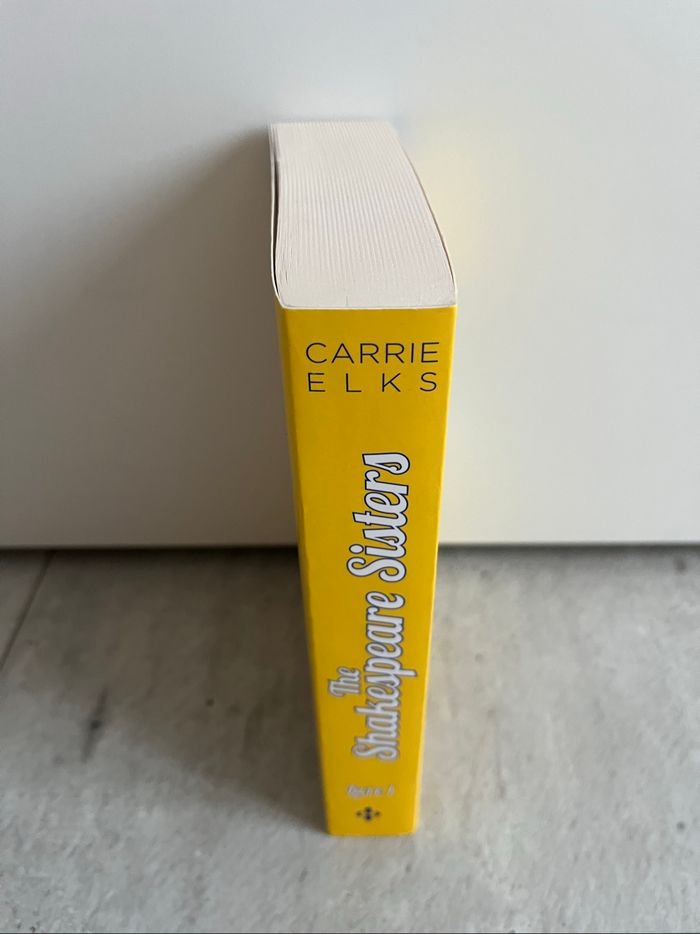 Les promesses de l’été de Carrie Elks - photo numéro 3