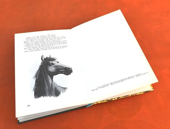 Anne Rochegude L' Incroyable voyage et autres histoires de chevaux - photo numéro 6