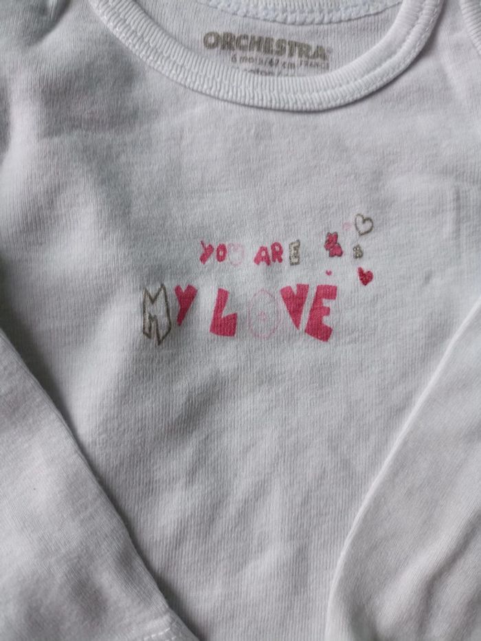 Lot 3 bodies T68 - photo numéro 2