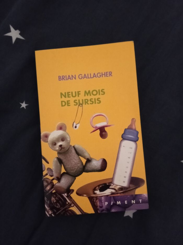 Livre (56) 📚 Neuf mois de sursis