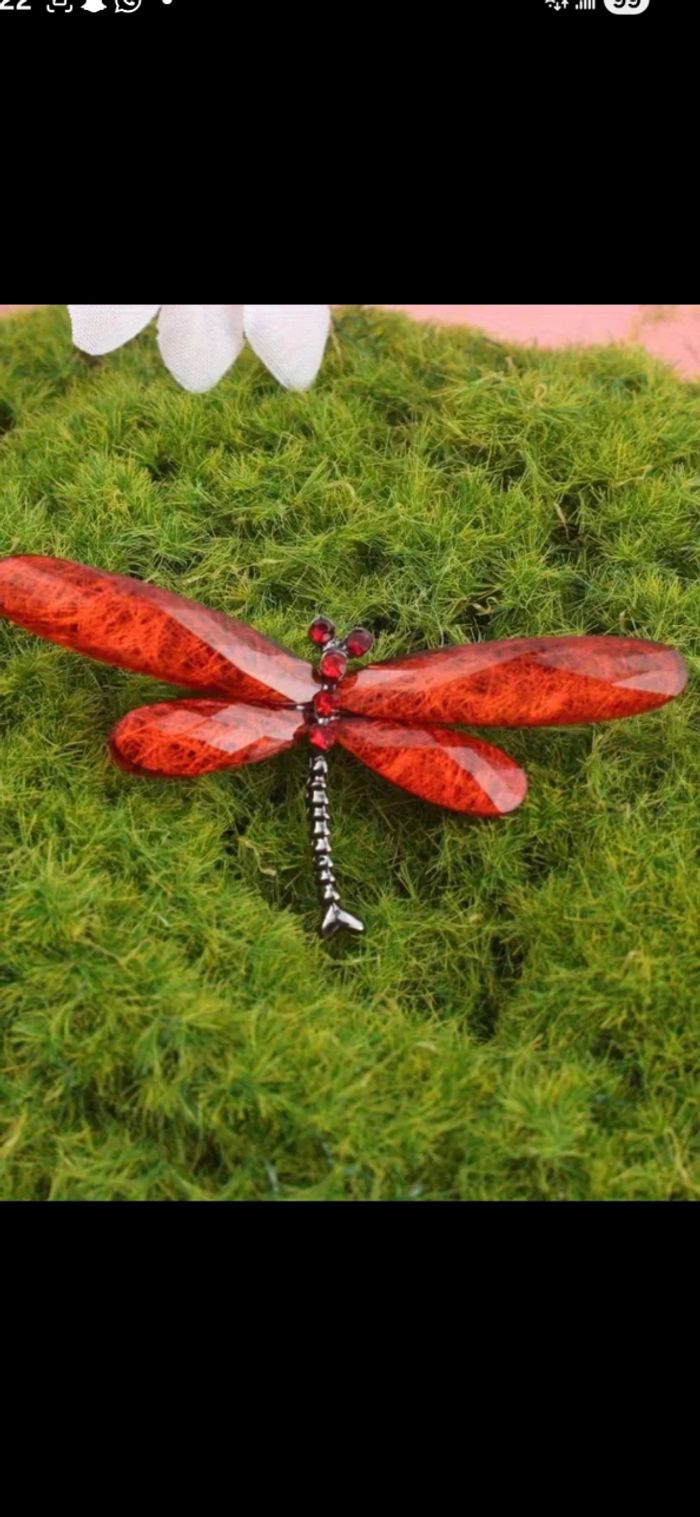 Libellules butineuses multicolores - photo numéro 4