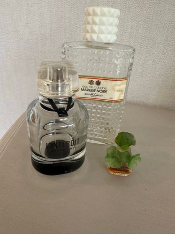 Lot de 3 flacons en verre décoratifs