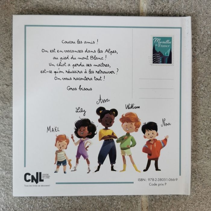 Le husky du mont Blanc - photo numéro 2