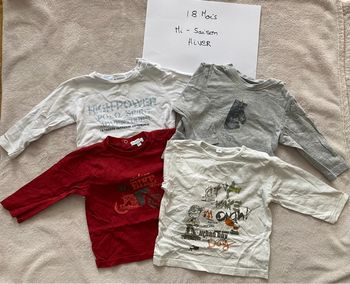 Lot 4 T-shirts manches longues 18 mois - Grain de blé & autre - TBE