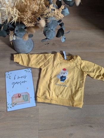 Pull petit bricoleur NPO 6 mois