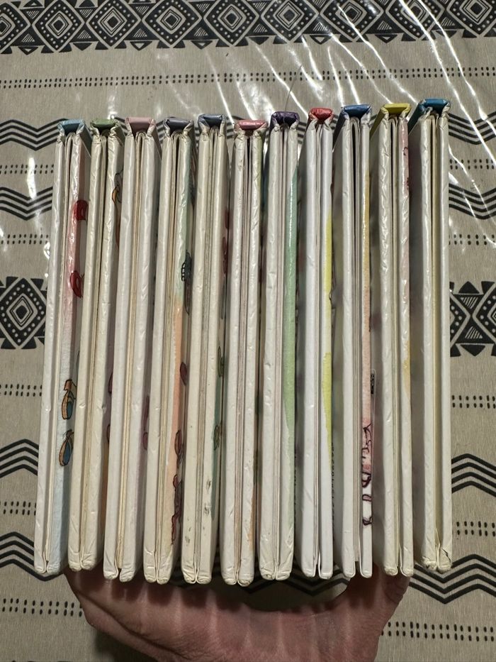 Lot livres princesse parfaite - photo numéro 3