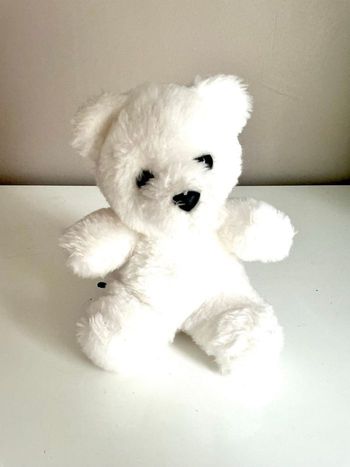 Petit ours blanc Ajena
