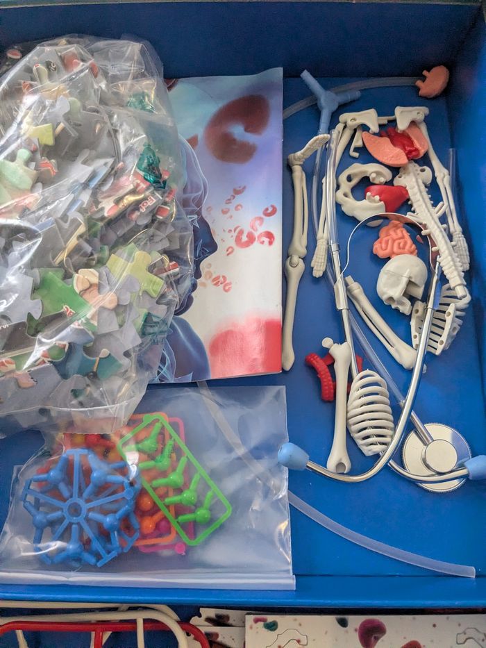 Jeux éducatifs, le corps humain science et jeux. À partir de 9 - photo numéro 2