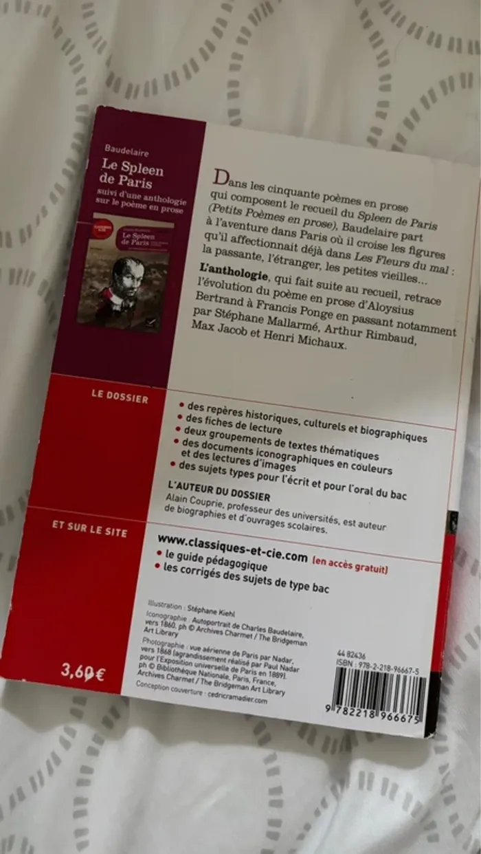 Le spleen de Paris Charles Baudelaire - photo numéro 2