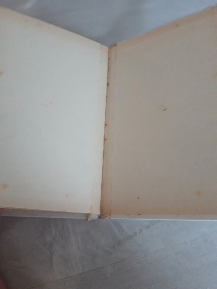 Oui-Oui et le kangourou - photo numéro 10