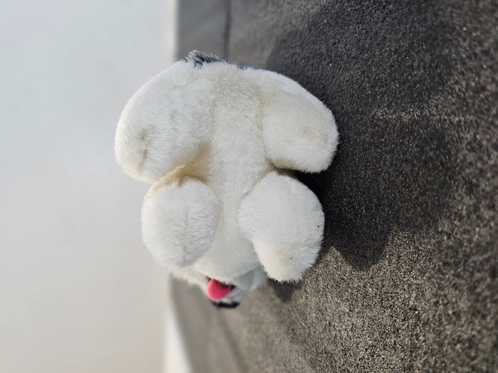 🧸 Peluche chien type Husky - photo numéro 7
