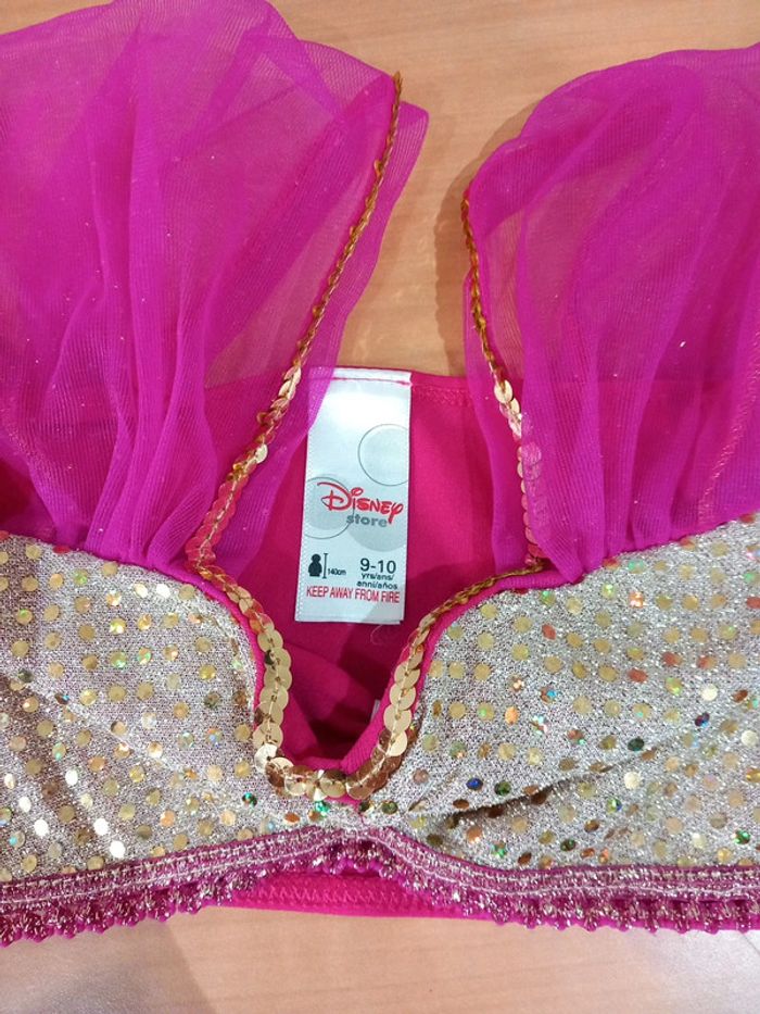 Déguisement Jasmine de Aladdin - photo numéro 8