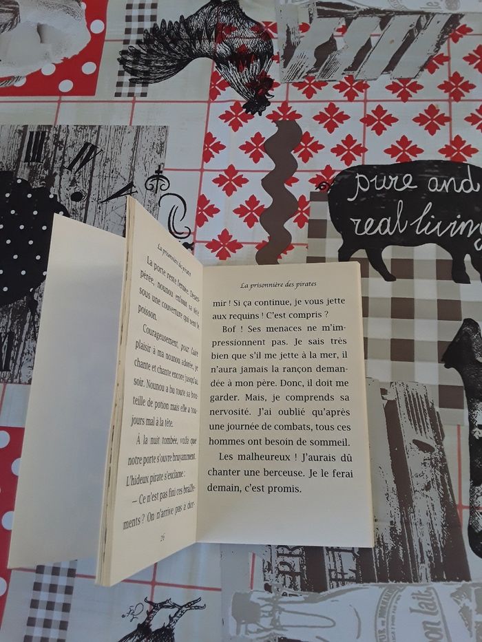 Livre enfant - photo numéro 3