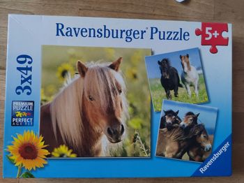 Puzzles chevaux