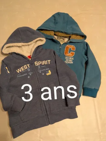 Lot de 2 sweats / vestes garçon 3 ans