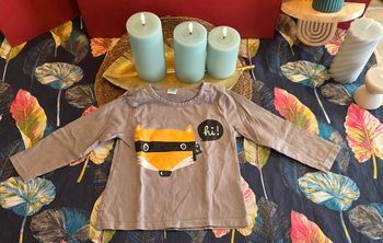 Tee-shirt ML 23 mois
